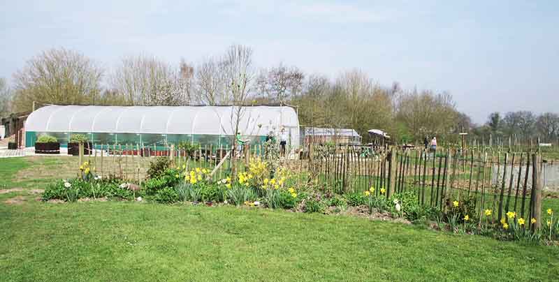 greenhouse at Jeallotts Hill